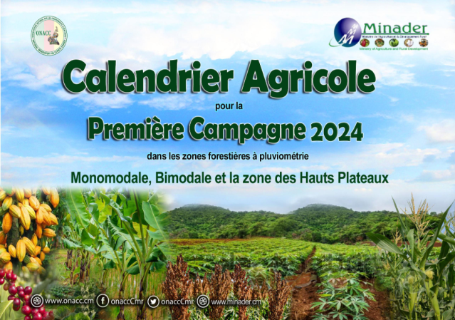 Student looking at a computer