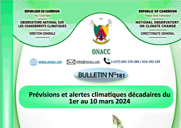 Student looking at a computer